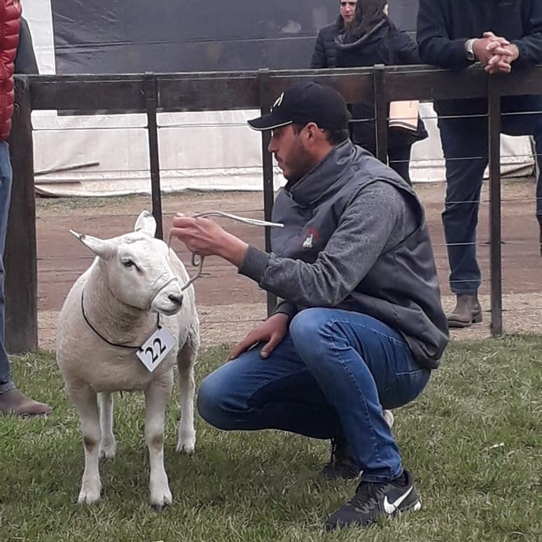 Mariano acicala al gran campeón de la exposición de Río Cuarto