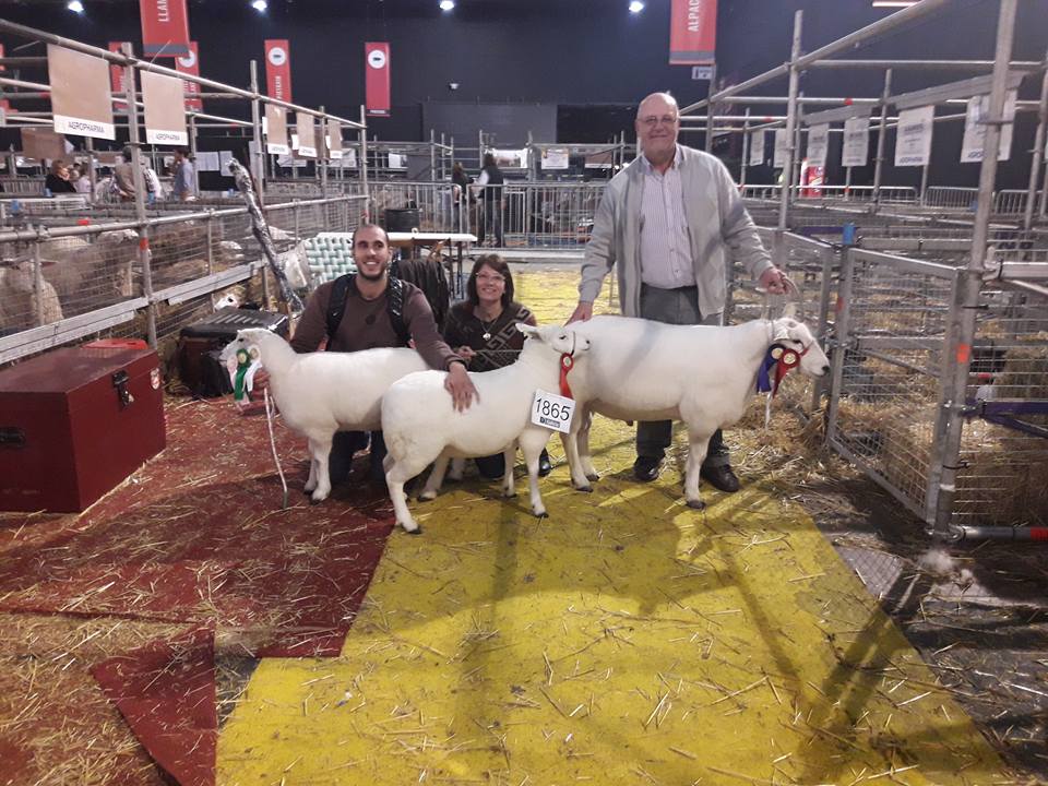 Susana, Mariano y Carlos en la Exposición Rural de Palermo, adquiriendo animales para la cabaña