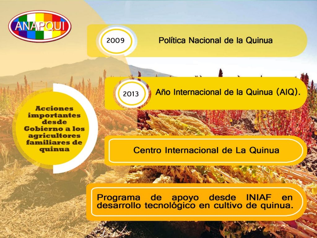 Acciones importantes desde Gobierno a los agricultores familiares de quinua