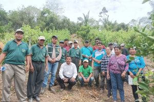 Productores de Alto Beni