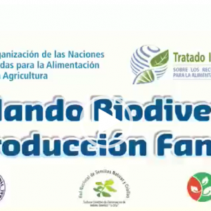 Pasturas con capacidad de adaptación