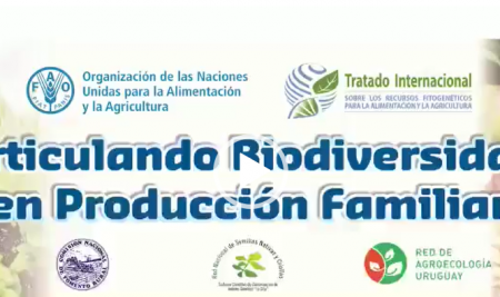 Pasturas con capacidad de adaptación