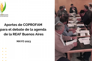 Copia de Presentación Plan REAF_ Paraguay 2022