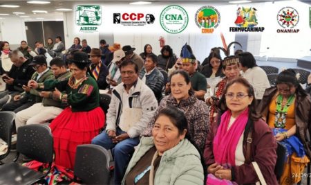 Organizaciones nacionales evaluaron los avances de la consulta de la  Política Nacional de Pueblos Indígenas u Originarios