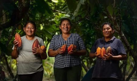 El poder femenino detrás del cacao premium: OTARIS marca un nuevo estándar de calidad