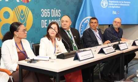 MUCECH participó en Taller Regional de FAO sobre acceso, uso y tenencia de la tierra en América del Sur