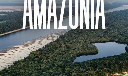 05/09 | Día de la Amazonía: no existe Amazonía sin agricultura familiar